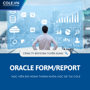 [HN] CÔNG TY BSYSTEM: Tuyển dụng vị trí Oracle Form/Report