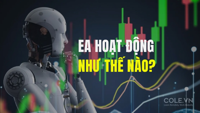 EA hoạt động như thế nào?