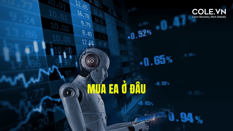 Mua EA Trading Robot ở đâu?