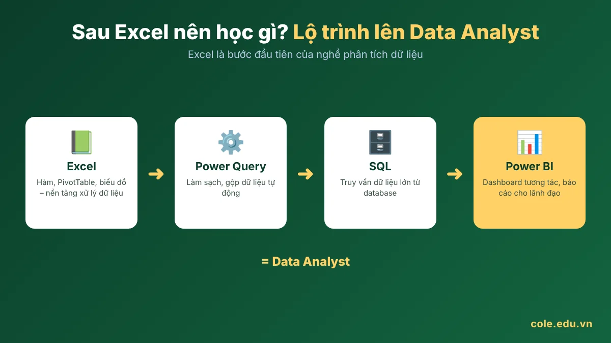 Lộ trình từ Excel lên Data Analyst: Power Query, SQL, Power BI
